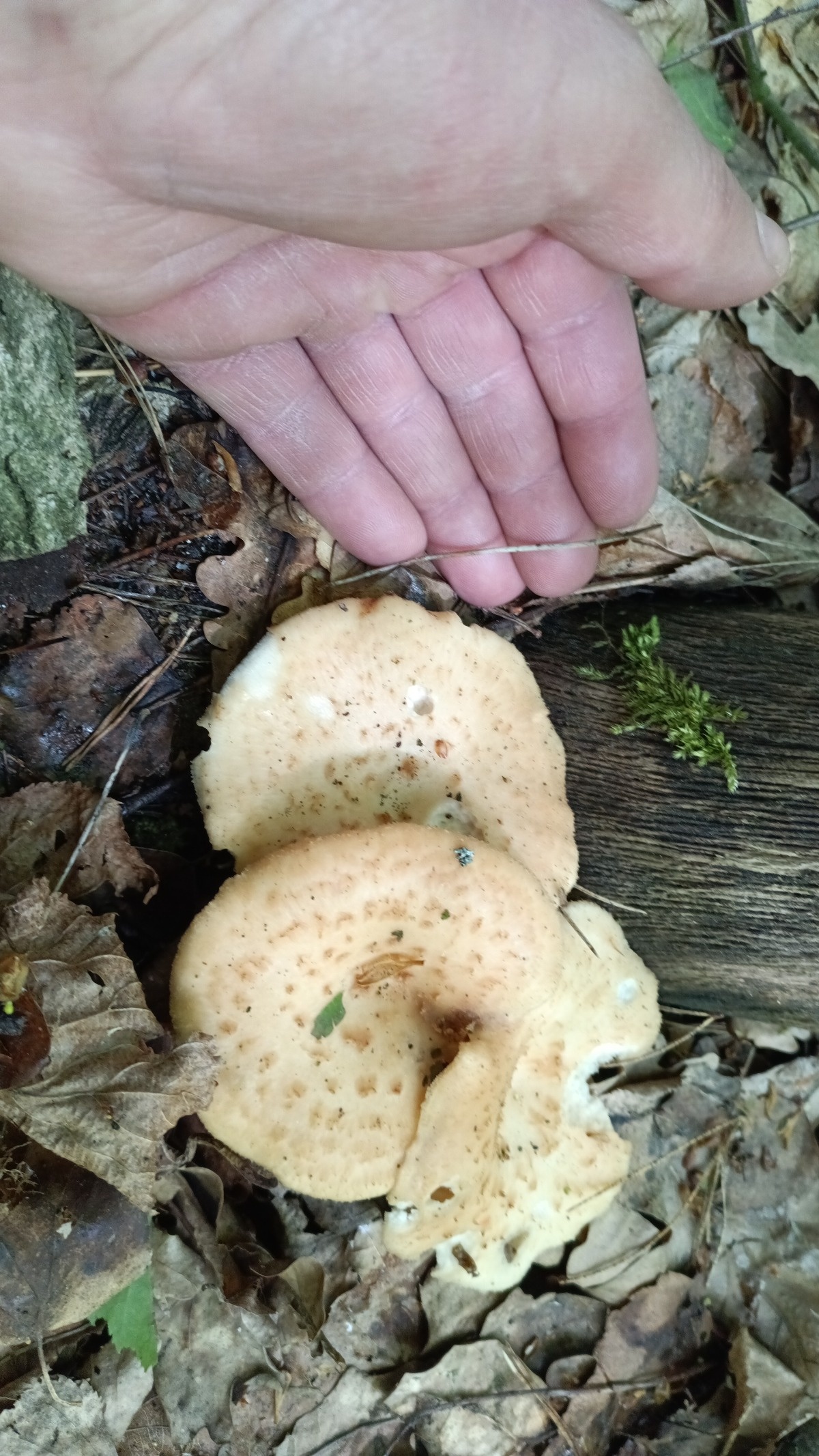 984fc6fe-ae4a-41f9-95c5-c9fb8a2ed83a