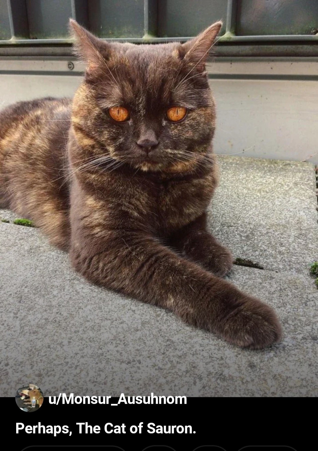 bc42c948-6c16-4670-9149-3f343fc16f5f