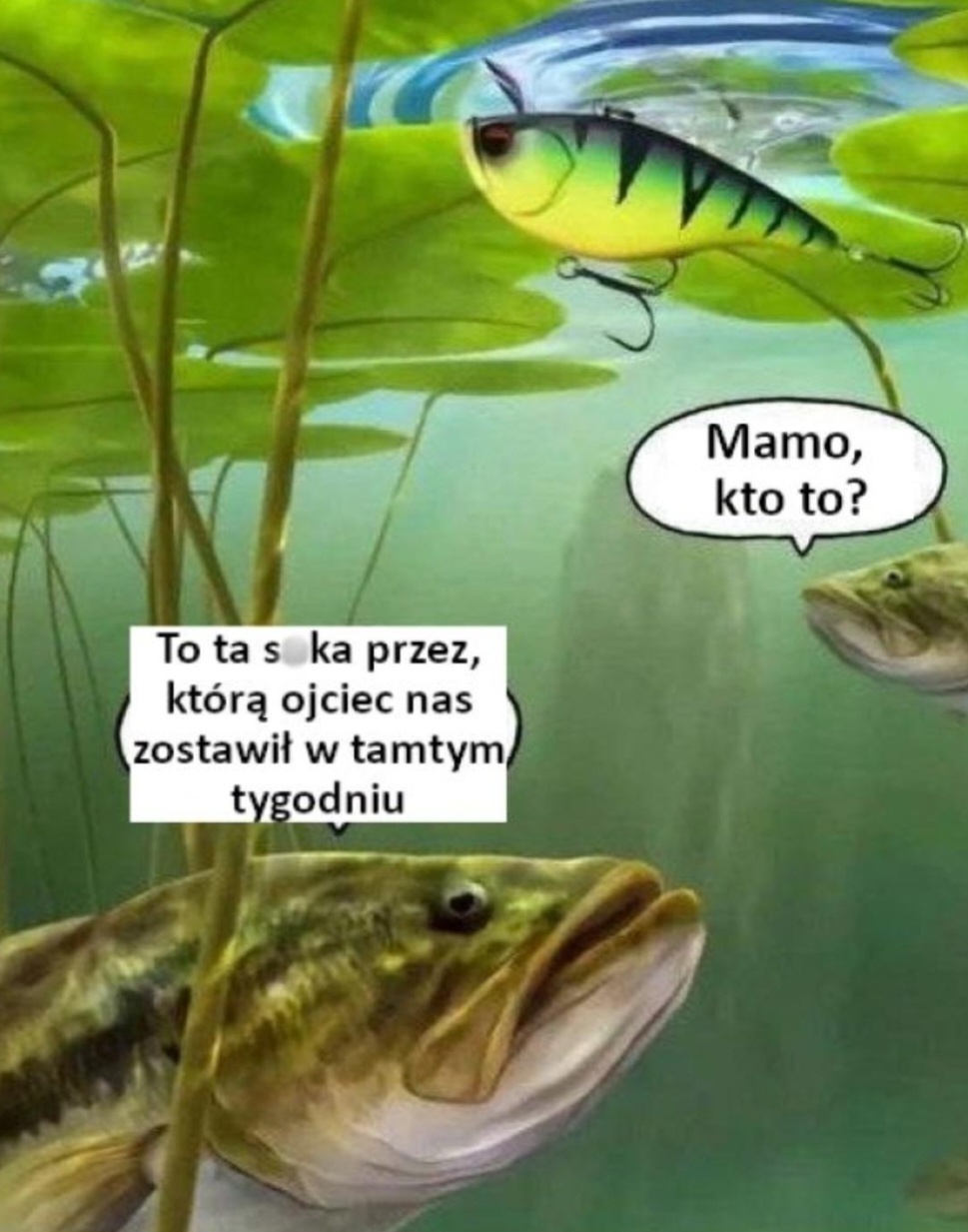 bd8fee92-7459-45e8-bf64-767d9164057a