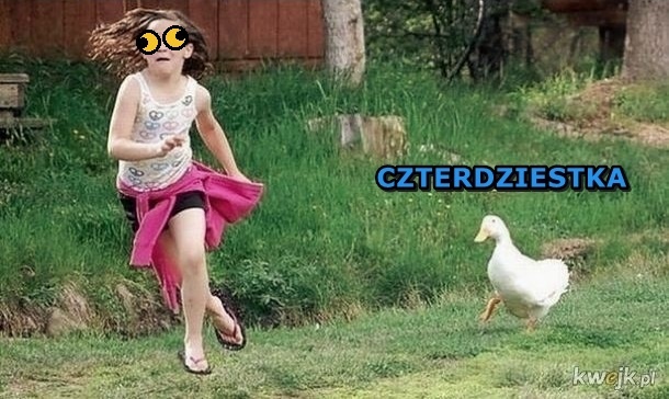 9c480bd2-bebd-44d6-91ec-5b6f14579a6b