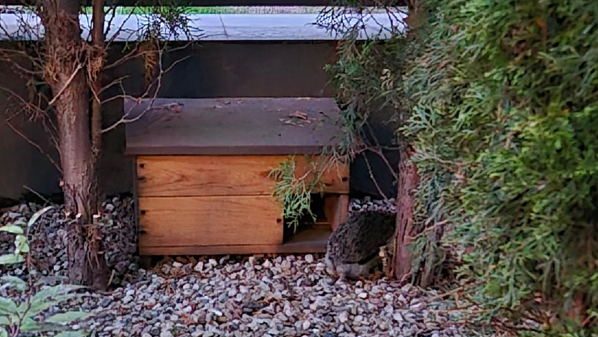 0833dcae-0d12-4eb3-baf6-1d21cf2f556d