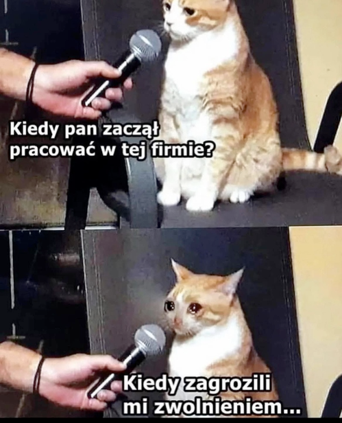 08078c19-e5ac-43af-82d0-0c99c64c1df5