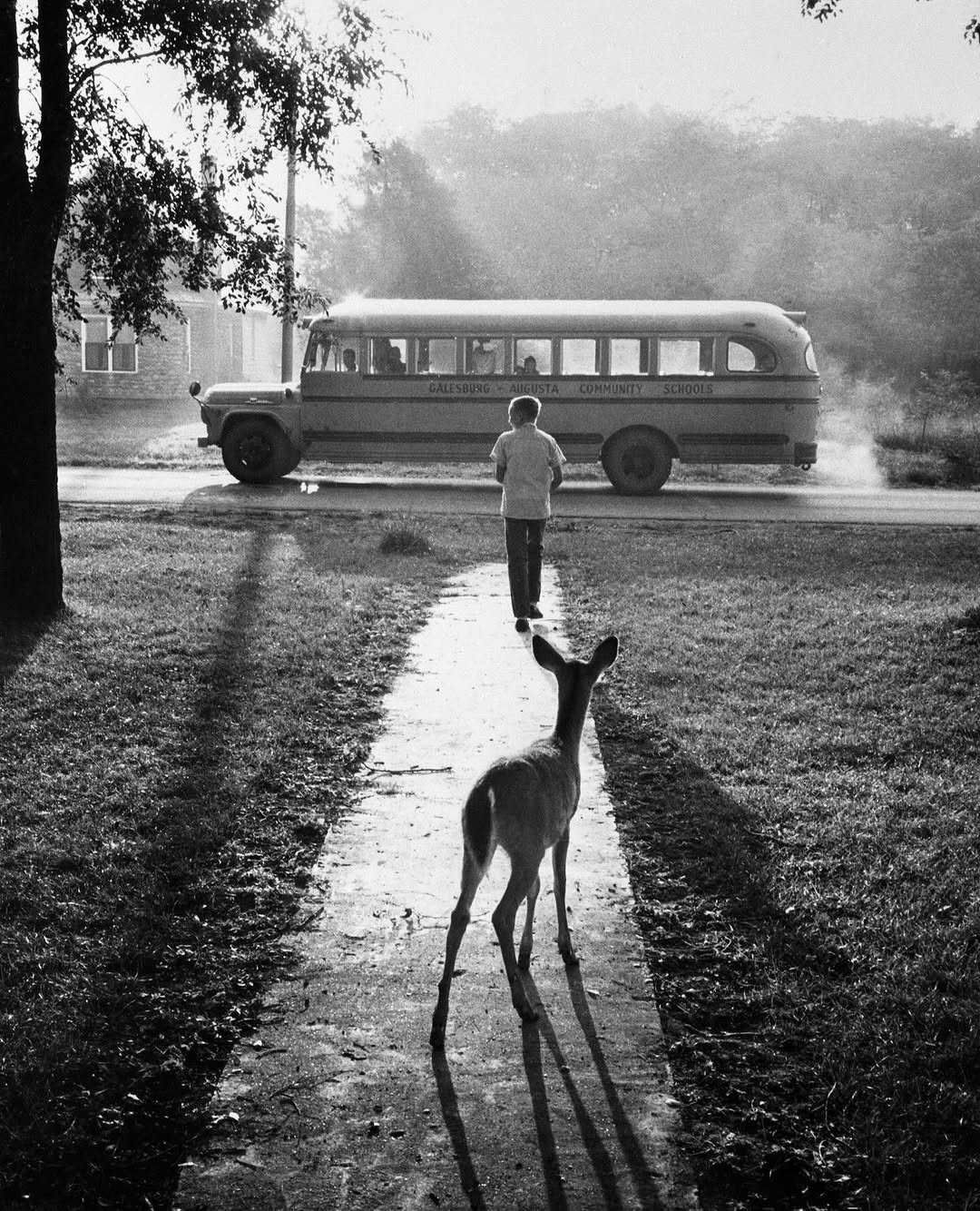 9c35079e-2c55-4087-978a-a5f93fff77e8