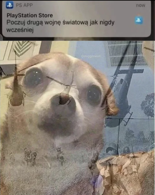 415b9219-fc9f-46c8-a8e0-9c4e264704c2