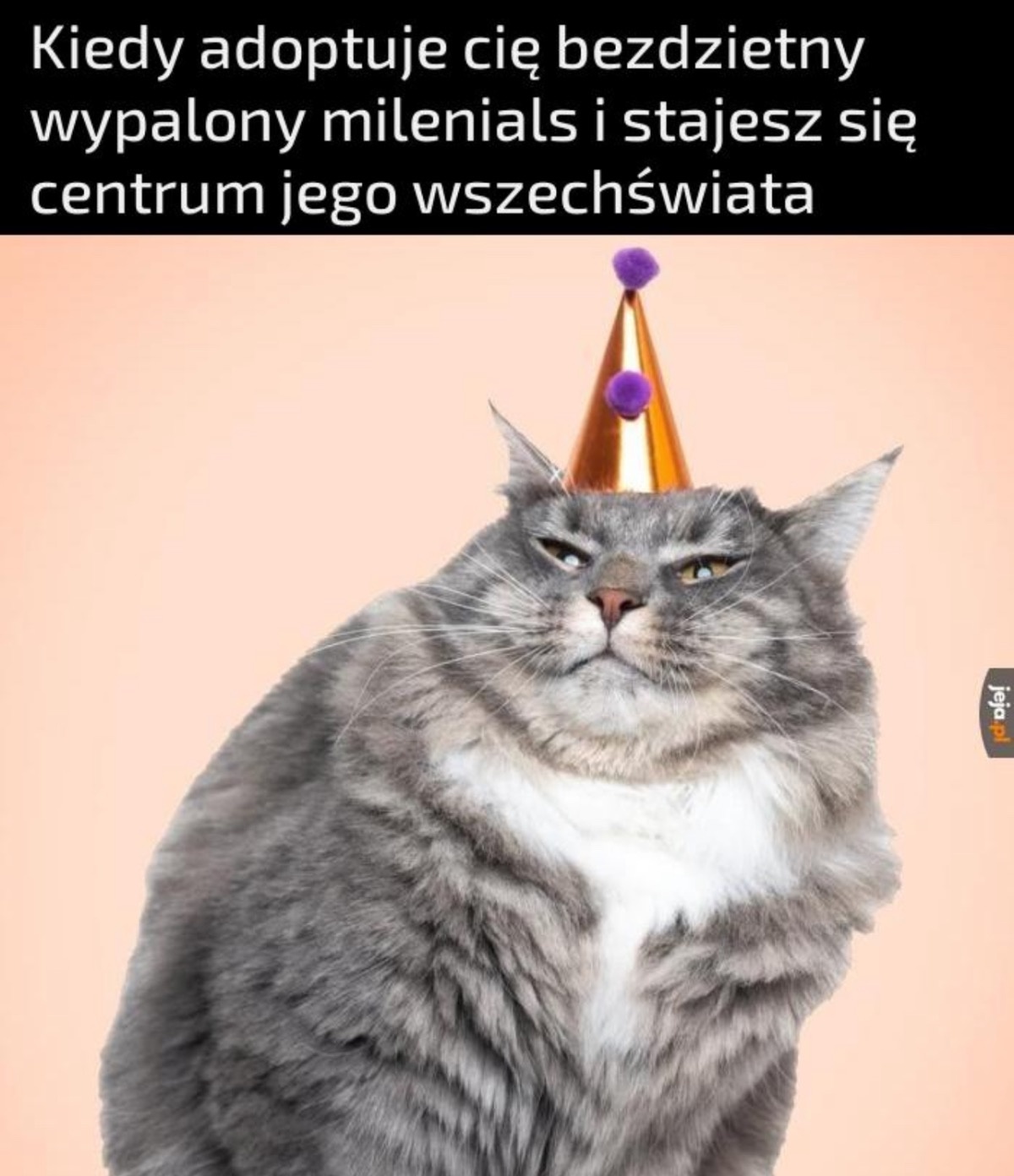 85ff8b3e-d678-469a-9c57-c243a4eaf177