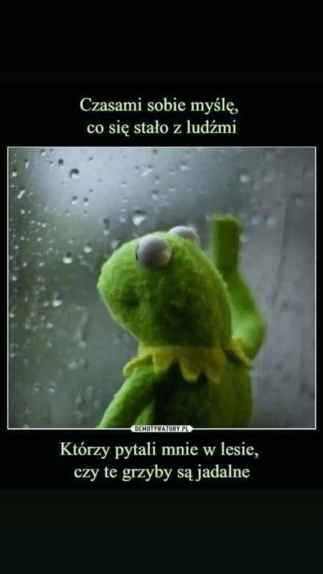 20ed1d63-f9fe-4365-bad5-f5fe26e0dce0