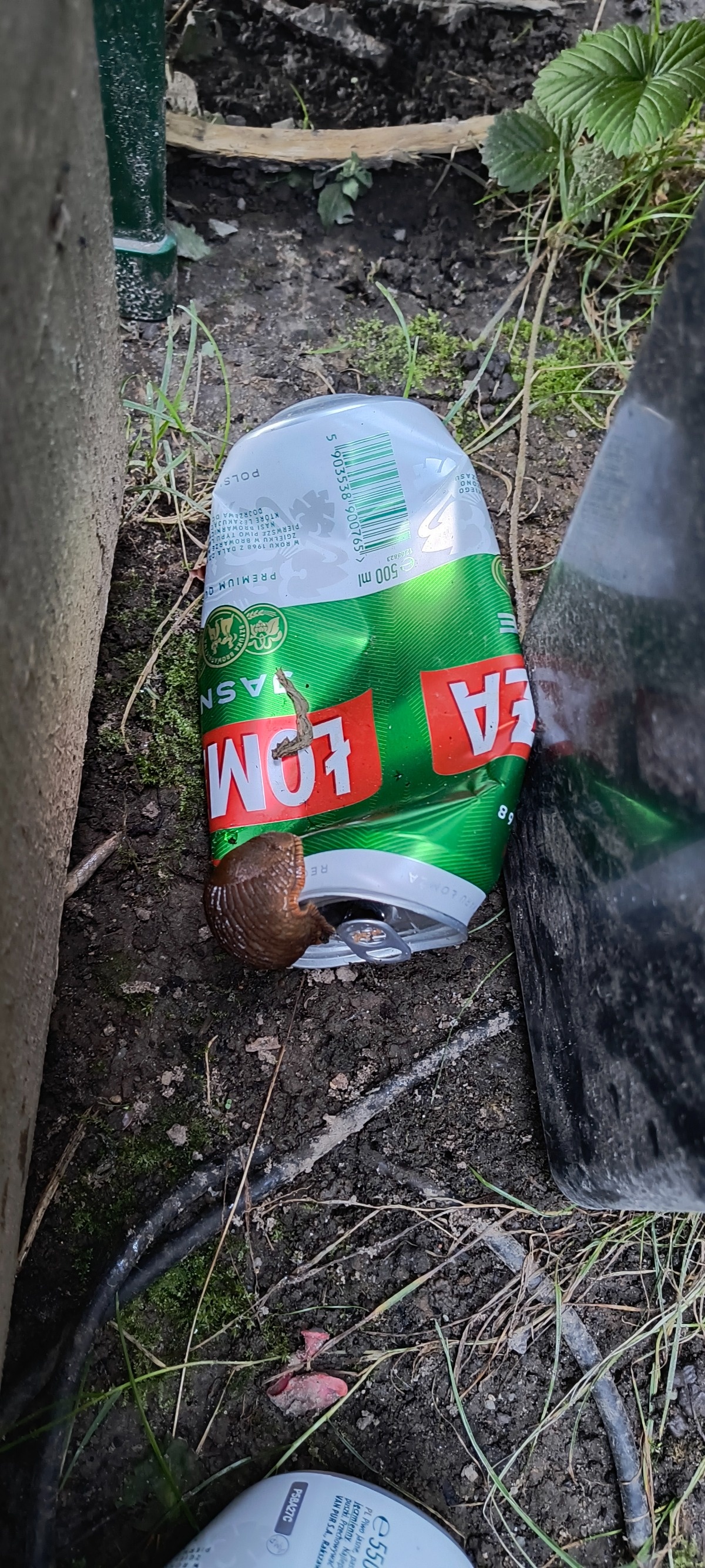 3b4fcb92-452a-44df-bca9-aabce2d22d46