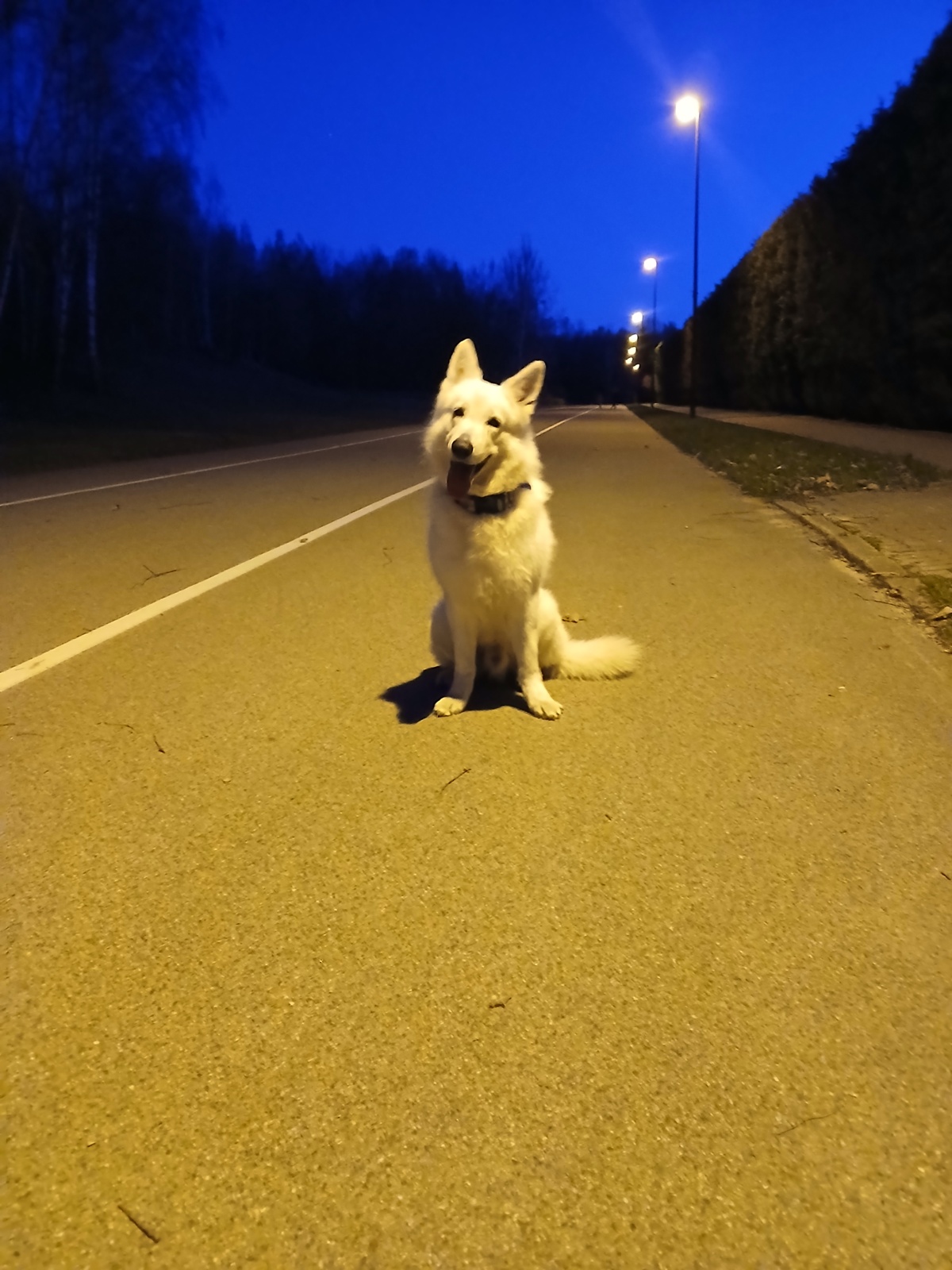 b9954de0-fb64-4d44-9b97-0198355a8811