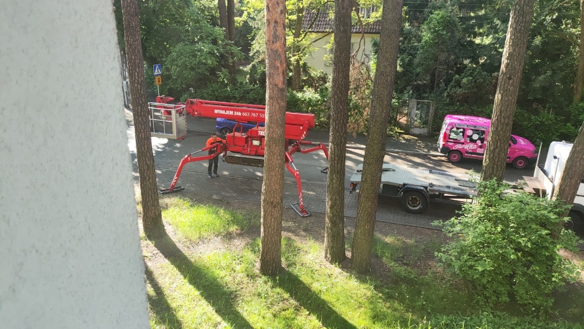 ce0d9c1e-77ee-4ff0-84b8-8e38ef449cbd