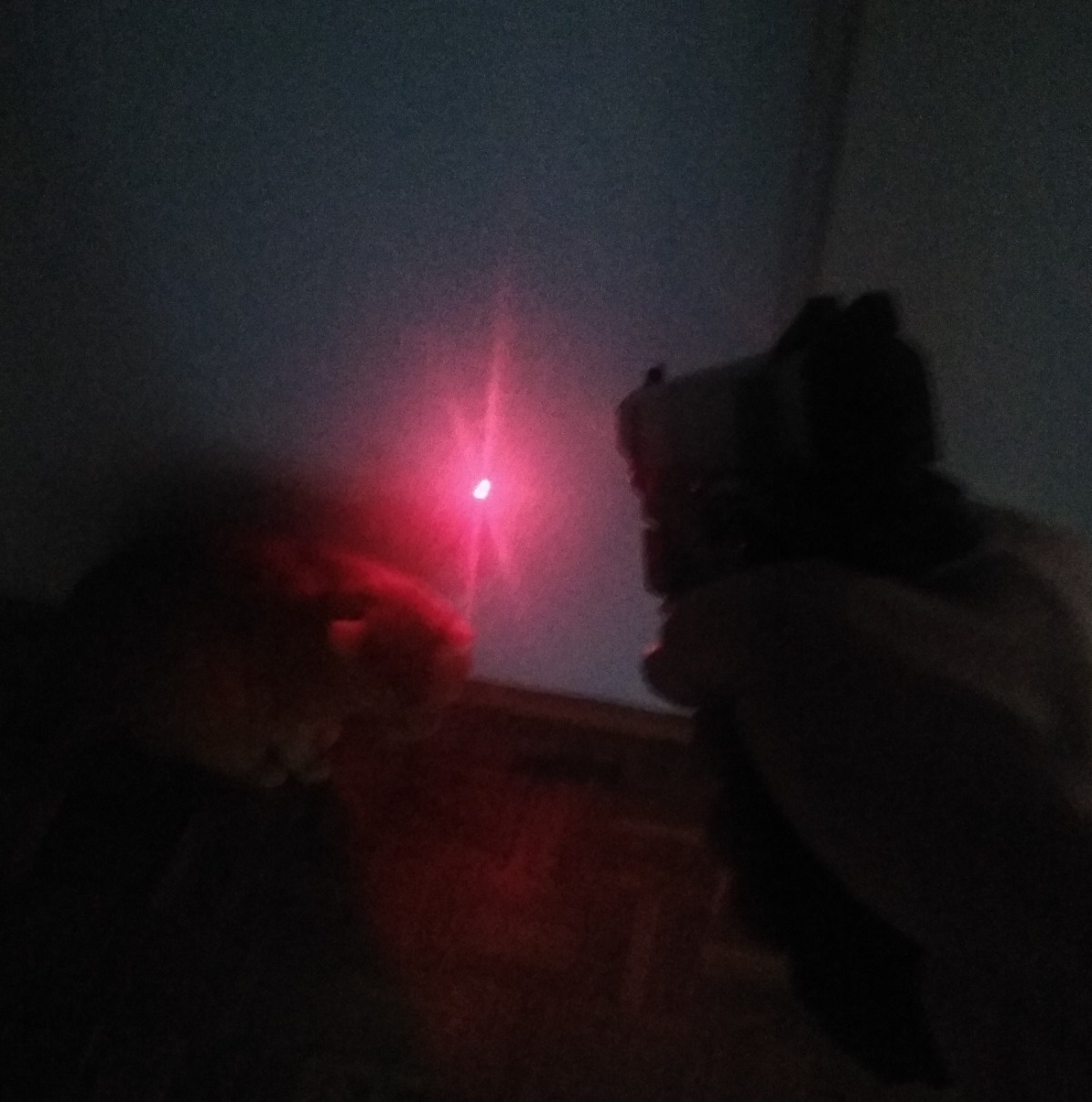 7751bc94-5752-4d61-9d13-83893e4616b1