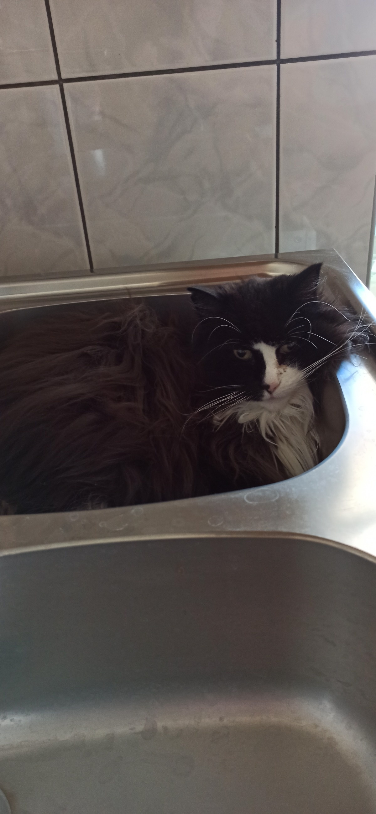 e9e63e5d-48d3-43ce-b3cb-9914d48224f7