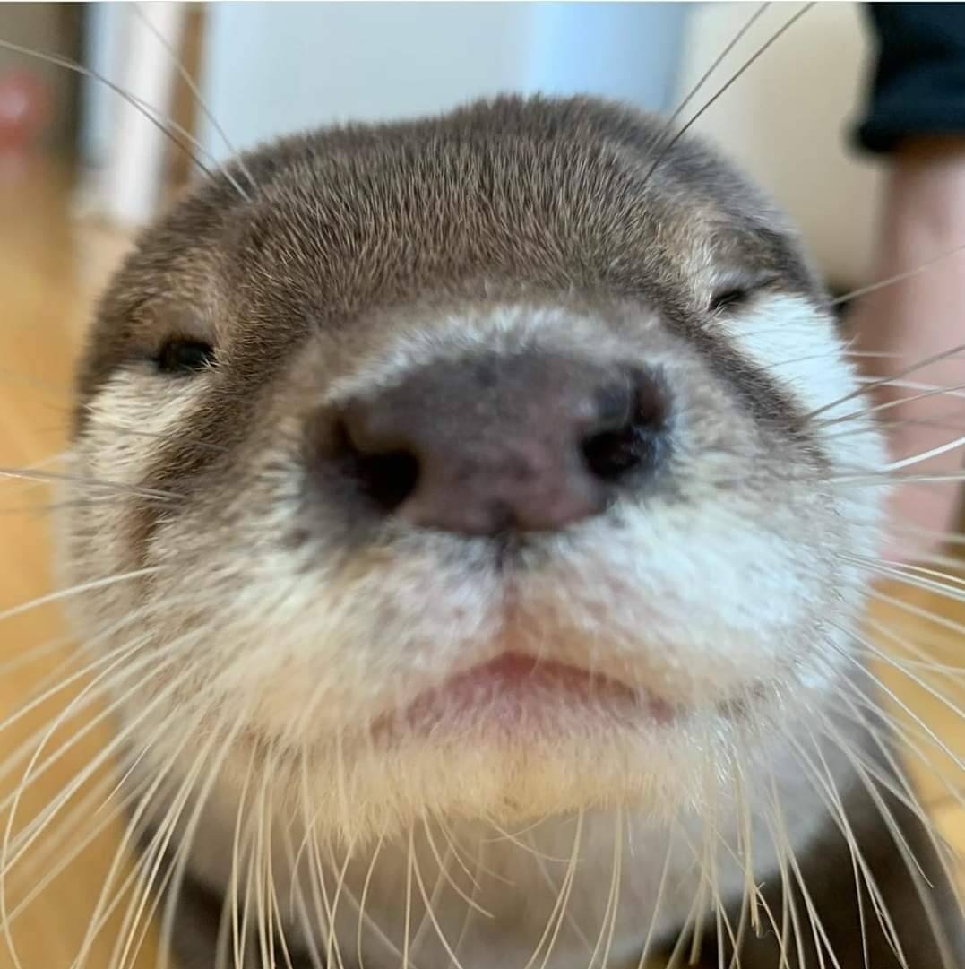 56387d2e-e64d-4090-8dcc-9278791480bd