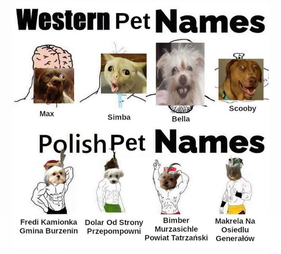 d851c5cb-c051-46a2-a719-a072ebafa60e