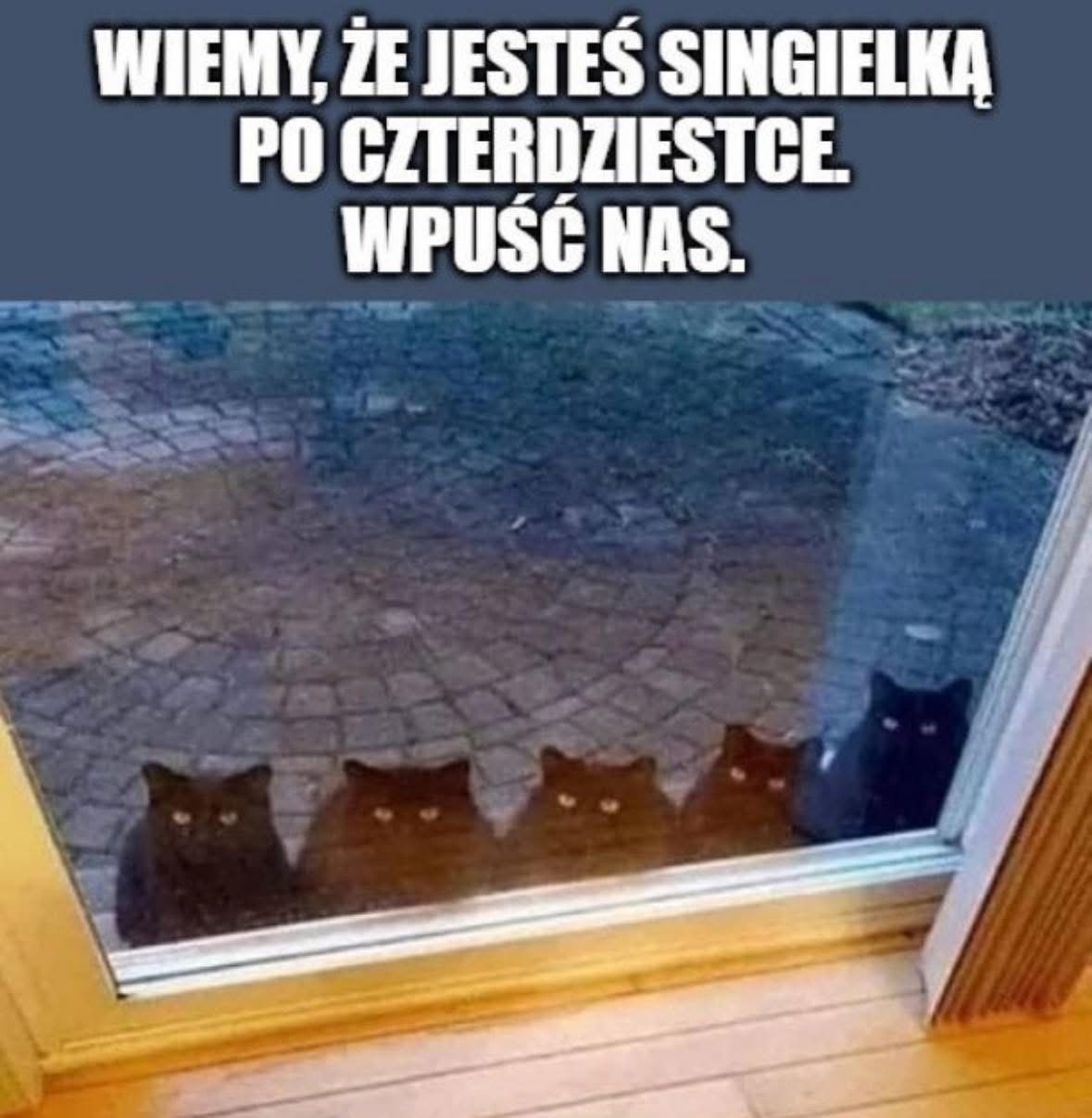 71bb44f3-85d5-4720-81fa-b4b1fbb78dc2