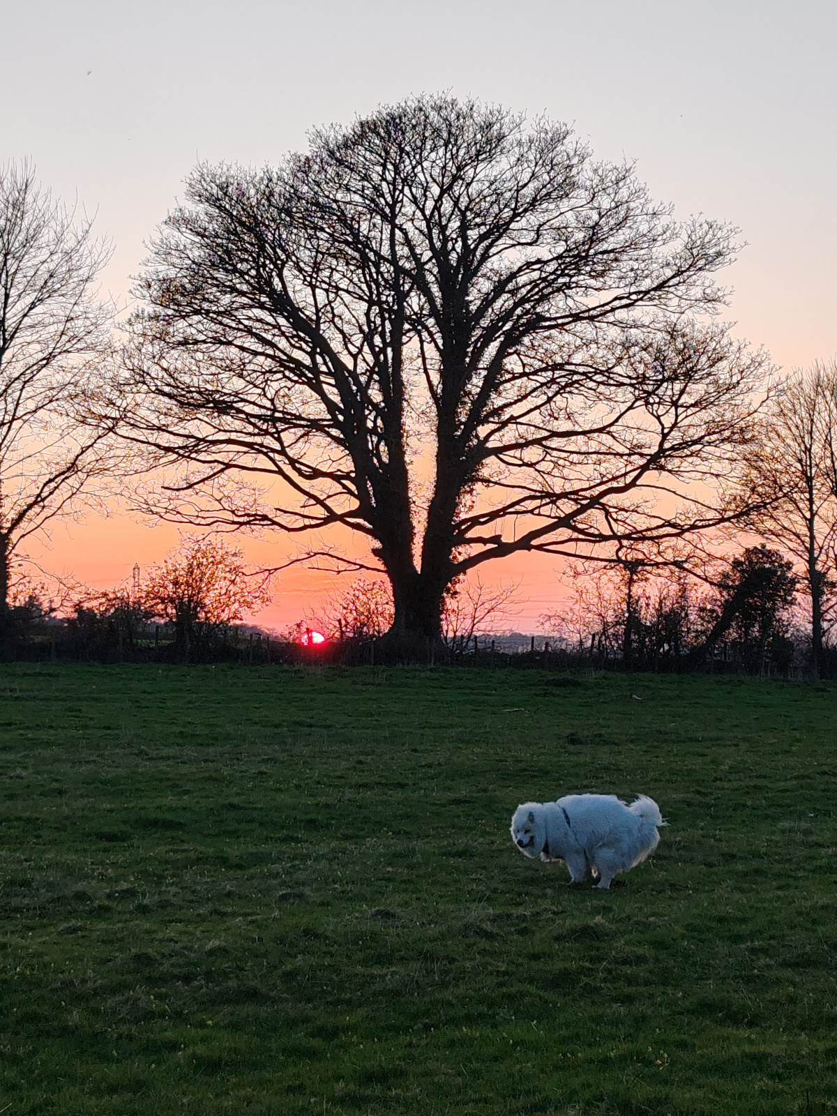 fce3a2b3-ee54-4367-ad4e-ccc5cc22ef35