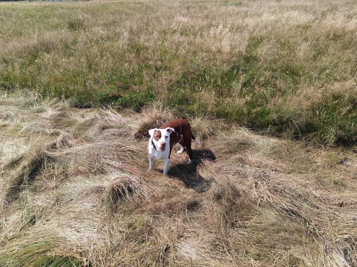 64c3effb-ed99-493a-a180-9a6d855ef5d1