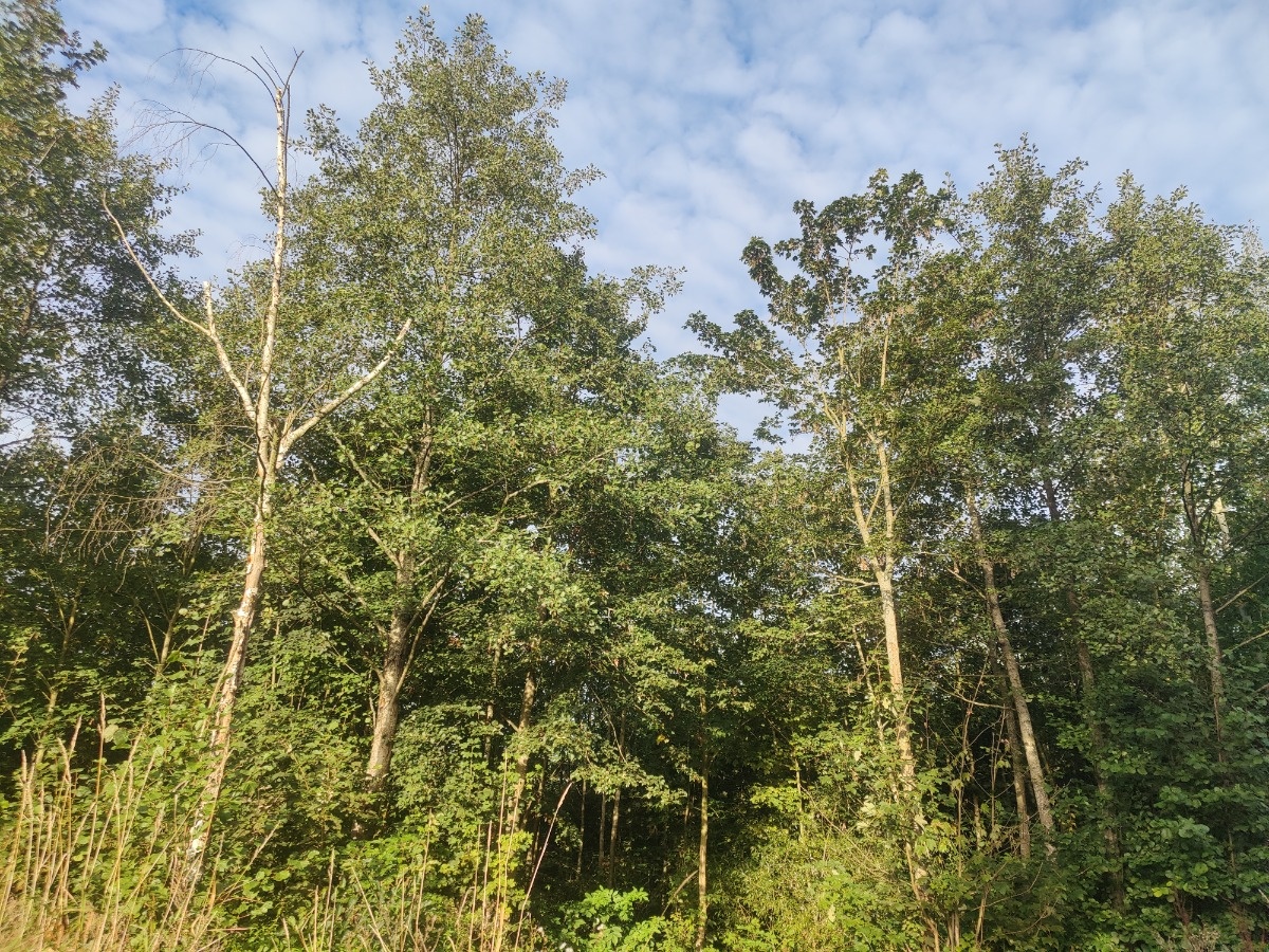 7a4b8c14-6844-4a75-9071-a14e240e5c1a