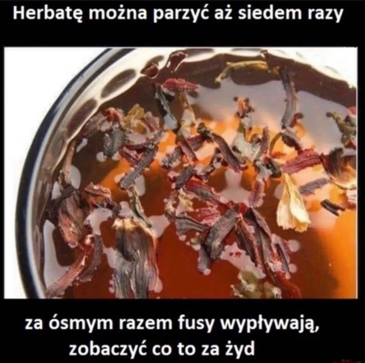 f96b59a5-7467-4196-aabb-04eceec32603