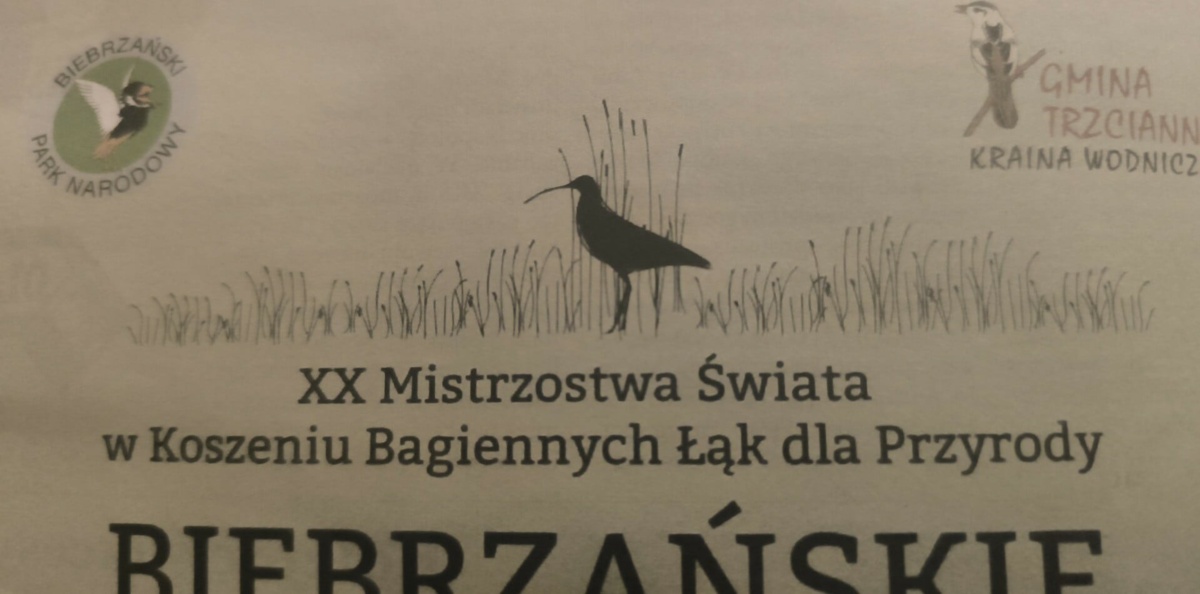 b6fb56a3-dc17-4d49-a5e0-16e463b2bb85