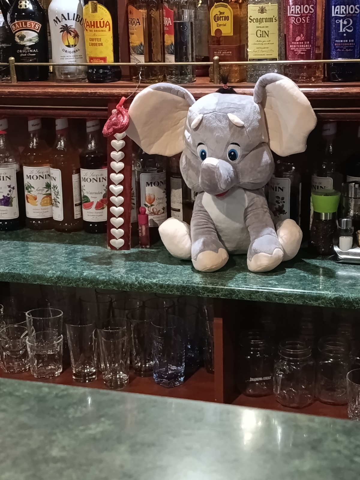 65df0cf8-1b6f-46cd-a968-6a1d44cd76a9