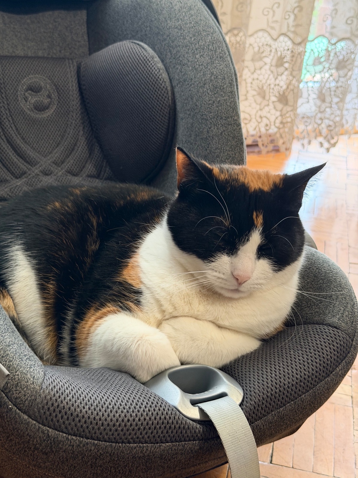 ffc85bb3-1d76-4345-8120-48d41fed1b22