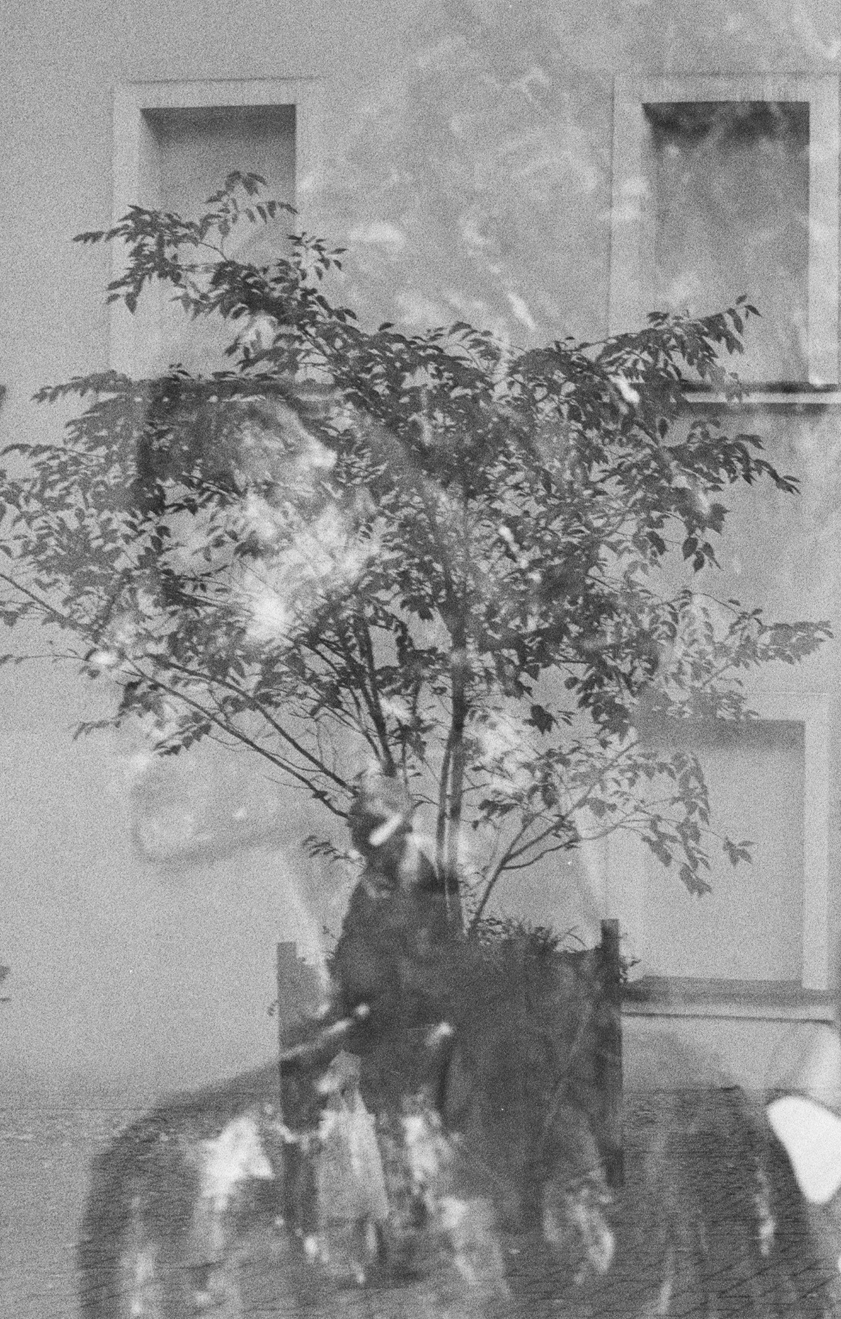 2240a0d6-5aab-4496-a0e9-c9ff39f696ea