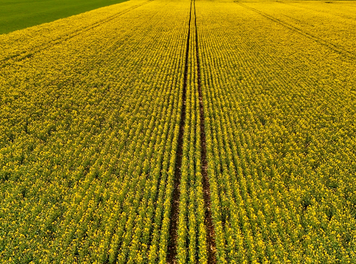 052be9fd-a3ee-4e3e-a44f-d82183258200