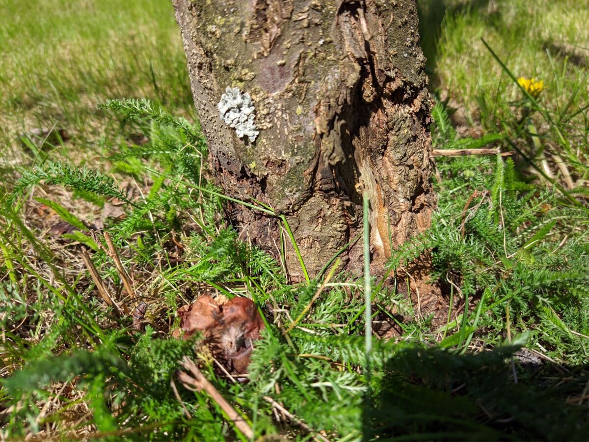 1c7e0308-f7e6-4535-b323-dfdcf91a07cf