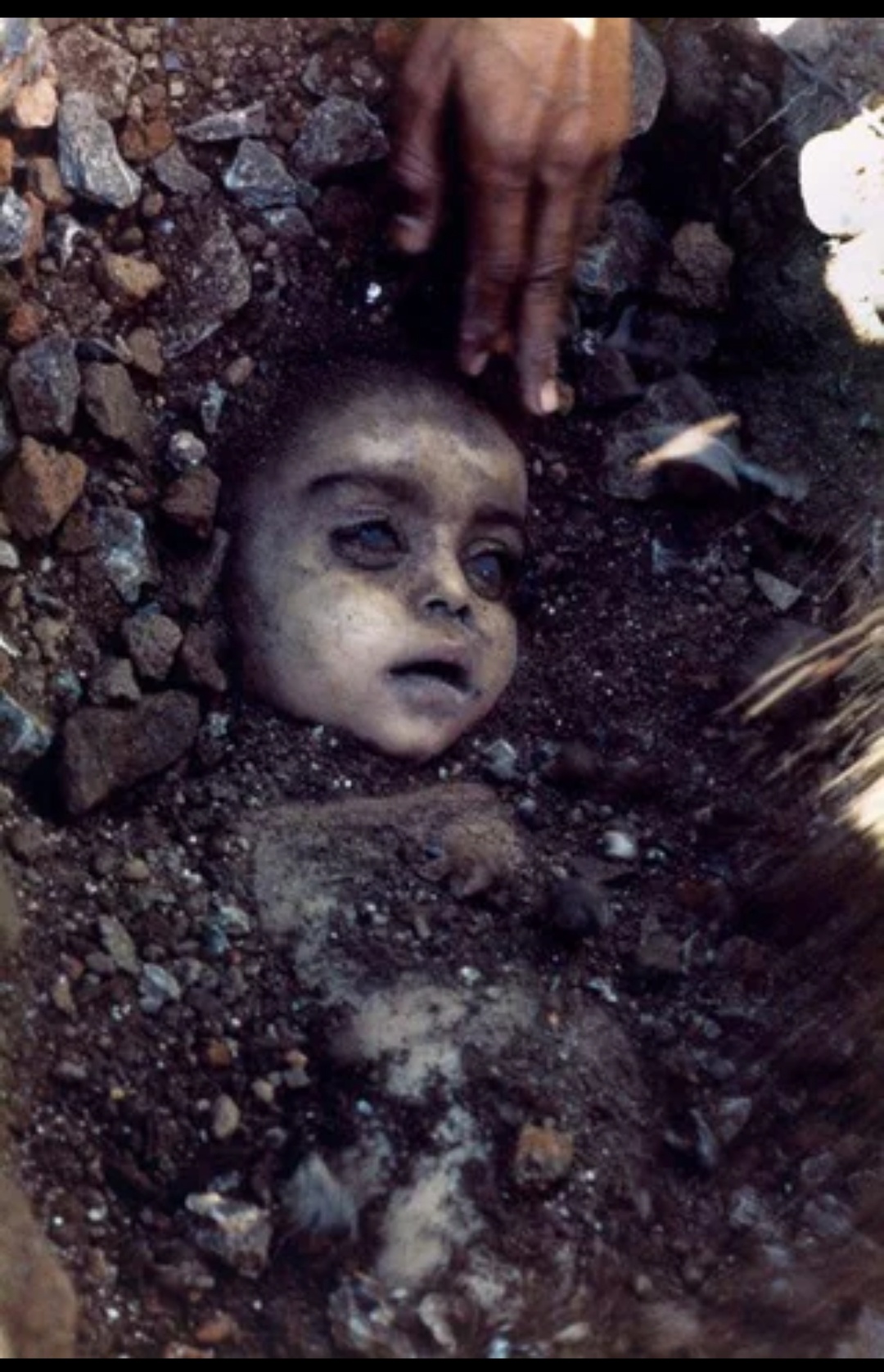 1f86c806-e772-4175-a371-8fa48fe8516e