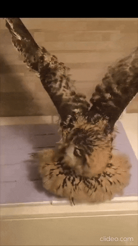 25156581-4cf1-47df-a0c5-9bf437722e07