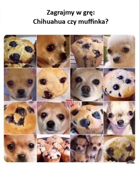 d6f65e2c-1683-4716-a0ea-3af4e846b6a9