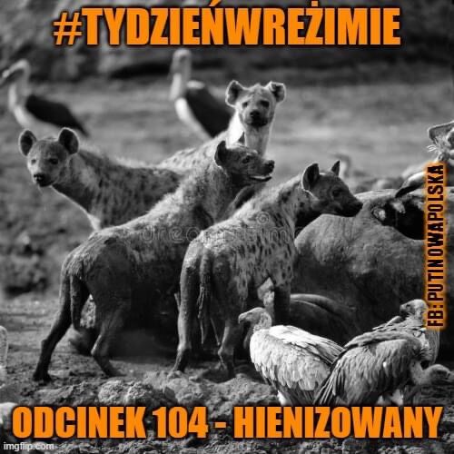 040c7ffe-b593-4669-93fe-08ba53877eb3