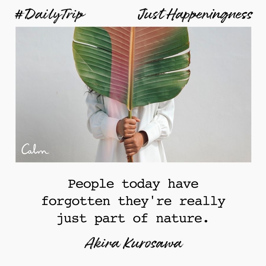 c39d9ad2-68c7-4bb0-b85b-5607f8e87bc4