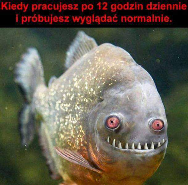 57975242-6bf5-4997-ae2e-f199d02d9bf1