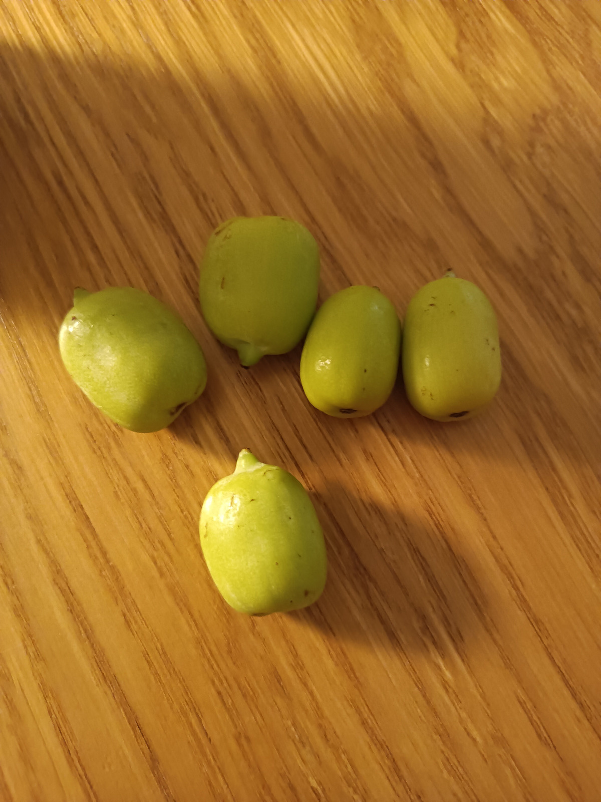 47978d31-2895-451f-ba79-775a533345e9