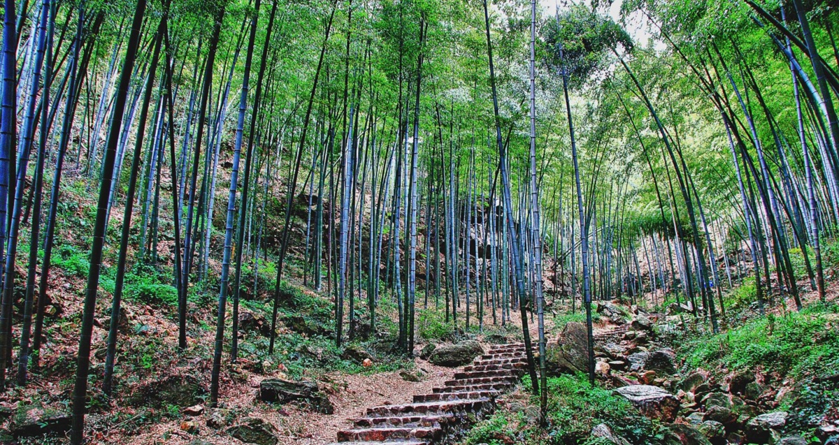 Prehistoryczny grobowiec z Azji zszokował archeologów. Stanowi część czegoś znacznie większego