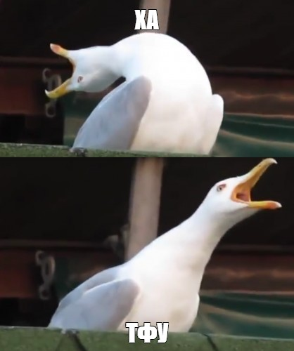 3542f099-9430-44d8-a4f2-82930670d2b0