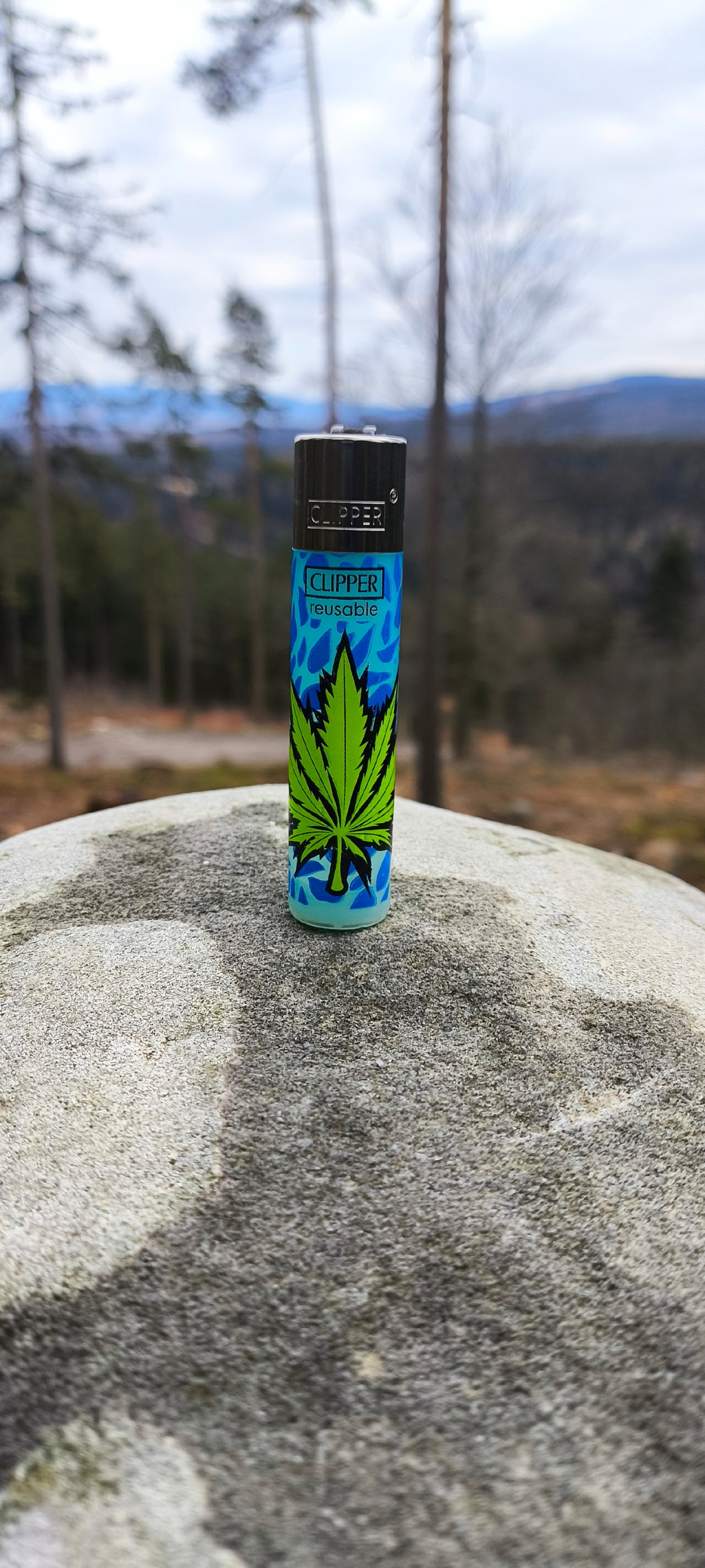 7ea1006a-c6f3-4cd8-9d95-208176c40bdc