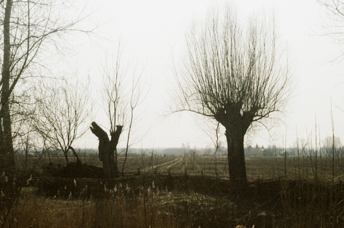 b683279c-ef9f-48b6-80dd-ca2ef172de75