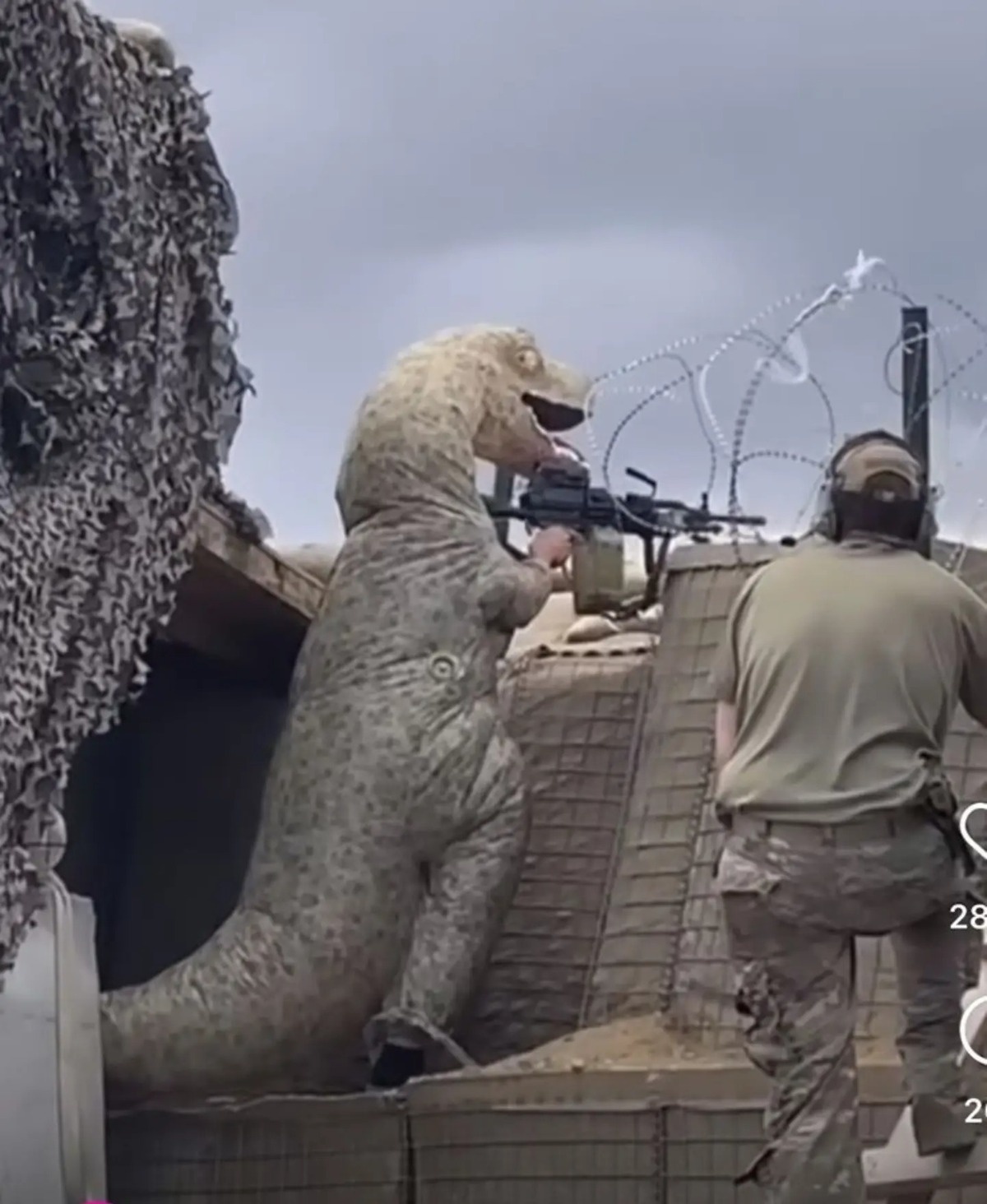 d85b63ae-e122-49bd-82aa-a3e1cb97b298