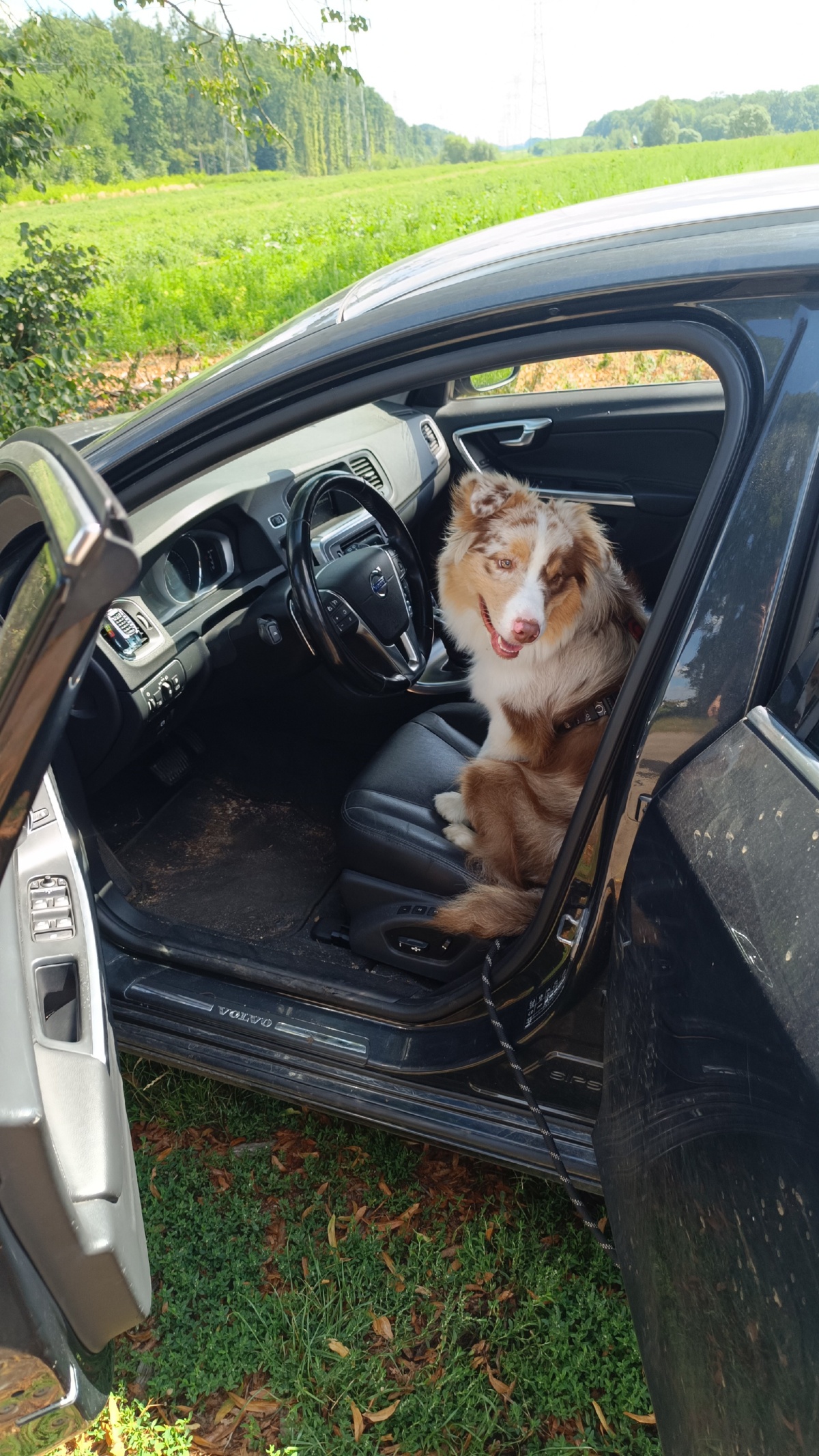 0575510b-c7b4-46d8-9bdd-8044ae23aaf3