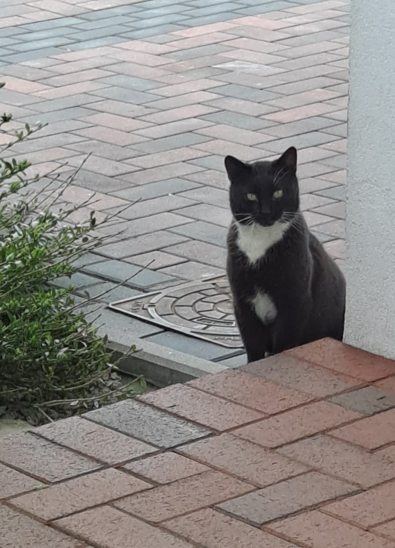 91fffbcd-b99f-49f3-b9e8-61a12d8daafd