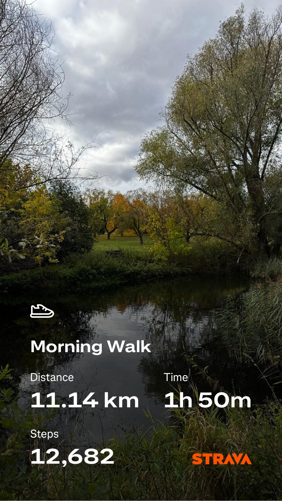 545aba4e-c7aa-4d8d-8498-3bf91a1374b6