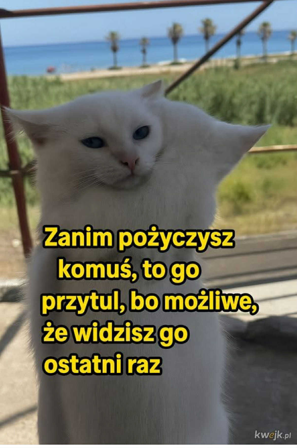 58f76880-2b01-43ad-94fc-855db210432c