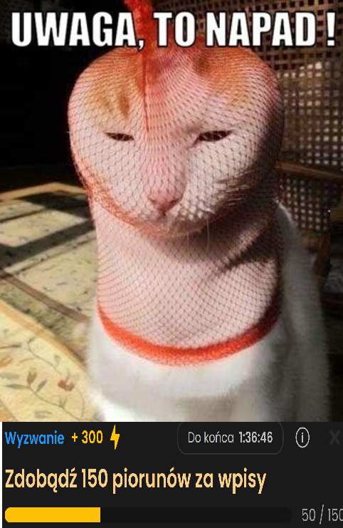 945fbd52-fcd0-4a23-a54c-569810052386