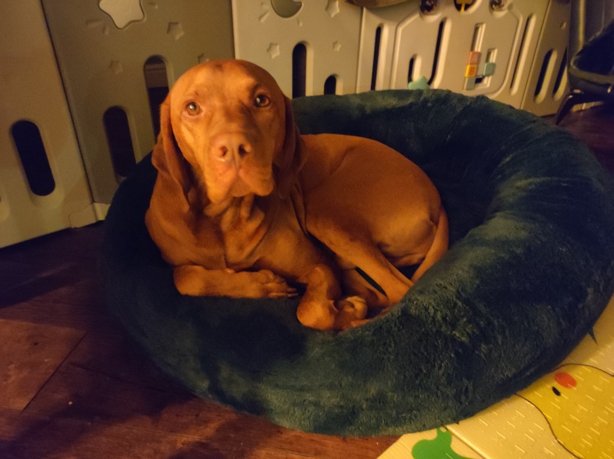 db4c2f19-e620-48c2-b727-6238a14a7771