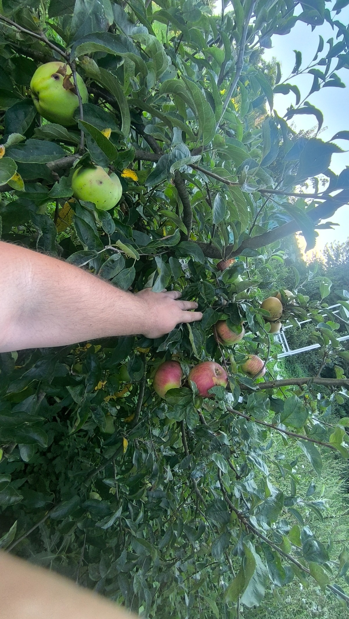 6a5f6132-69a8-42ea-9d4b-099316942080