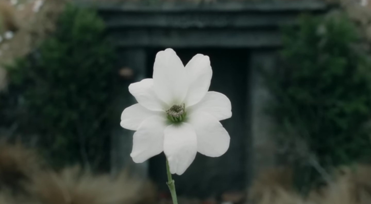 1679fd39-e7ea-4b1e-be94-04ab8d0108b4