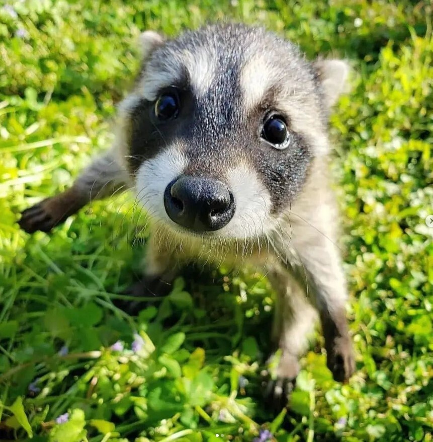 19f75314-efdb-4c23-bd2e-7d5a3e6ea42d