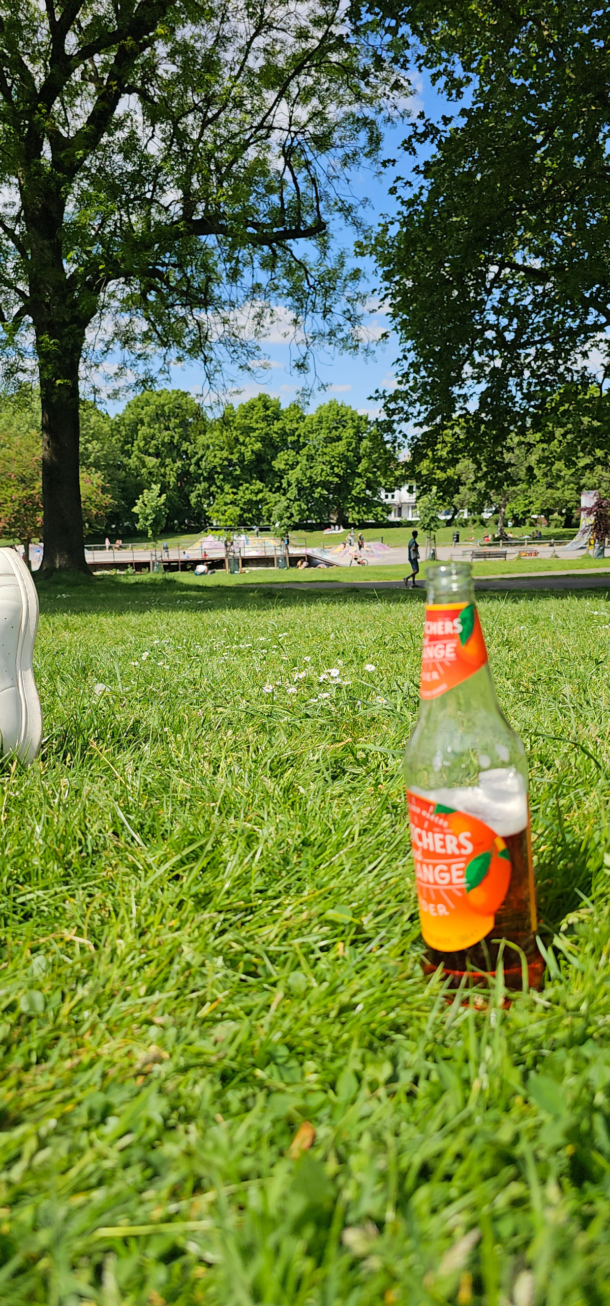 c1e6a564-e164-4369-8c69-3fff8098dc86